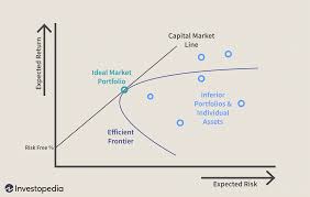 capital asset pricing model capm