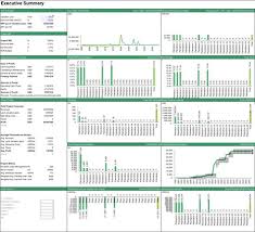 Forecasting The Cash Flows Of A Forestry Project Executive Summary Financial Model Template In Excel For Fore Financial Modeling Financial Executive Summary