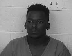 Man Charged With Felony Fleeing