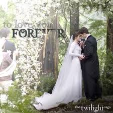 Lady braut by sisters beranda facebook. 150 Twilight Hochzeit Ideen The Twilight Saga Dammerlicht Twilight Film