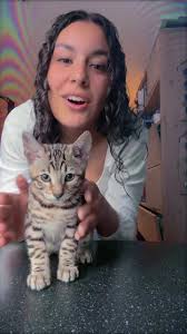 dexxieee🩷🩷🩷 #nieuwpoesje #cute