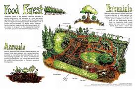 Bauen Sie Einen Permakultur Garten An Weniger Arbeit Mehr Ertrage Permakulturgarten Permakultur Selbstversorger Garten