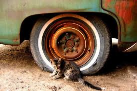 Kitty N Flat Tire Flat Tire Tire Car Wheel