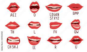 A, b, c, d, e, f, g, h, i, j, k, l, m, n, o, p, q, r, s, t, u, v, w, x, y, z. Mouth Animation Alphabet Pronunciation Lip Position While Talking Woman Facial Expression White Teeth And Tongue Cartoon Parts Of Face And Latin Or English Letters Vector Speech Therapy Set Stock Vektorgrafik Adobe