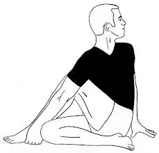 Ardha Matsyendrasana Benefits And Precautions Yoga