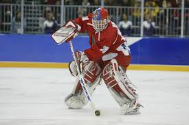 Открыть страницу «dominik hašek.» на facebook. Dominik Hasek Olympijskytym Cz