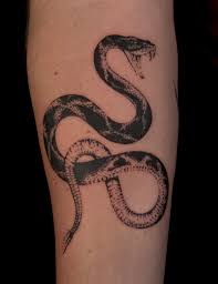 Rattlesnake for Paul 𓆙 - Instagram