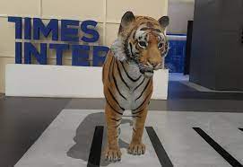 This New Google Feature Allows You To Click Photos With Tiger Shark Penguin And Other Animals Here S How Times Of India