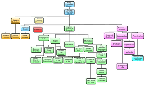 15 Cogent Protestant Religions Chart