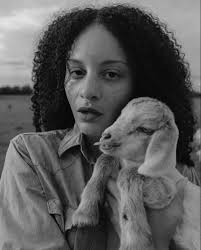 The goats are so grateful for the arrival of Christmas trees — and I am  tremendously thankful to everyone who has made this possible! Every  Christmas tree donation literally helps the farm