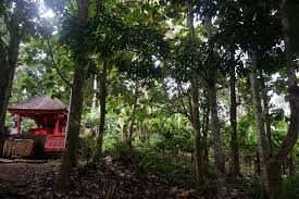 Pengertian pengajaran alam sekitar heimatkunde salah satu usaha untuk memberikan dasa. Menjaga Hutan Memastikan Keberlangsungan Sumber Air Warga Jembrana 2 Mongabay Co Id Mongabay Co Id