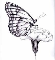 Discover an endless array of cool pictures to draw with our selection of plant, flower, and tree drawing tutorials. Butterfly Easy Butterfly Flowers Drawing