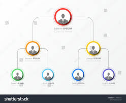 Organizational Structure Of The Company Business Hierarchy Infographic Elements Three Organizational Structure Business Organizational Structure Infographic