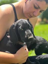 Poppi, Fleur and Lina, Bailey, Smitty, Buddha, Mabel, Lyza Mae, and Apollo  all went to their forever homes over the past two weeks!