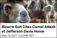 Vandals targeted the former home of an expert who testified in former minneapolis police officer derek chauvin's defense, leaving a pig head and blood, according to police. Bizarre Suit Cites Camel Attack At Jefferson Davis Home