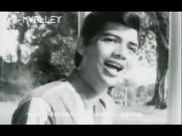 Annuar Idris & Saloma