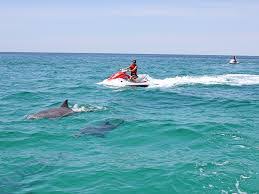 Maybe you would like to learn more about one of these? 7 Best Places To Jet Ski In Florida Jetskitips Com