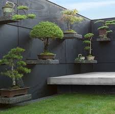 Bonsai Shelves Create Simplicity In Japanese Garden Space Bonsai Create Garden Japanese Shelves Simp In 2020 Japanese Garden Japanese Garden Design Garden Spaces