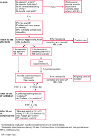 the normal neonate assessment of early physical findings