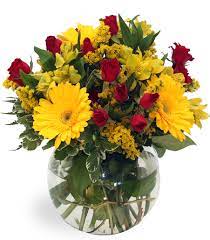 Also known as the usa, it is a country located in central north america, between canada & mexico. Send Flowers To America From Uk