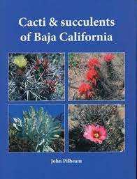 Requests for information on identification and how to grow succulent plants are common queries. Cacti And Succulents Of Baja California Amazon De Pilbeam John Fremdsprachige Bucher