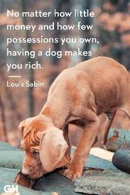 30 Dog Quotes That Ll Inspire You To Hug Your Pup A Little Tighter Dog Quotes Dogs Puppy Quotes