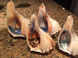 Painted Conch Shells 2017 Beach House Art Seashell Painting Painted Shells