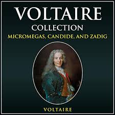 He chose a career as a writer against the wishes of his father. Voltaire Collection By Voltaire Audiobook Audible Com