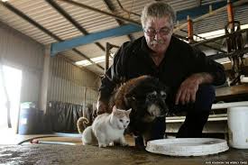 Maggie The Oldest Dog In The World Has Passed Away Old Dogs Dogs Pet News