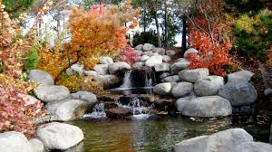 And you shall be like a watered garden, like a spring of water, whose waters do not fail. A Watered Garden