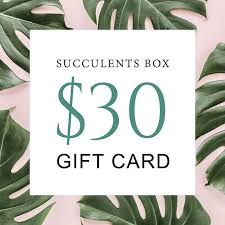 Dec 17, 2020 · these best gift card ideas can be purchased at the last minute﻿ and allow recipients to tailor items to their own tastes. Succulents Gift Card Succulent Gifts For Any Occasion Succulents Box