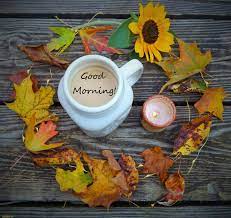 We did not find results for: Nature Good Morning Fall Coffee Novocom Top