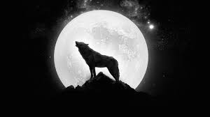 Use images for your pc, laptop or phone. Moon Wolf Wallpapers Group 70
