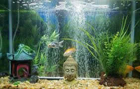 Decorate the fish tank according to the festival to spice it up. Buddha Aquarium Decoration Www Macj Com Br