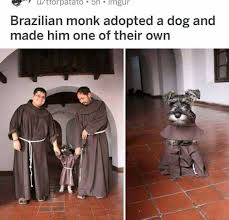 Dopl3r Com Memes Brazilian Monk Adopted A Dog And Made Him One Of Their Own