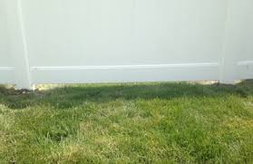 We did not find results for: Northwest Cedar Products 15537 Weber Rd Romeoville Il 60446 Yp Com