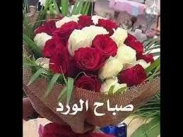 اجمل خواطر صباحية رومانسية رائعة يمكن ارسالها الي الاحبة او الاصدقاء ايضاً للتعبير عن الحب والمودة، اجمل خواطر صباحية رومانسية 2019 لا تفوتكم. ØµØ¨Ø§Ø­ Ø§Ù„ÙˆØ±Ø¯ Ù„Ù„ÙˆØ±Ø¯ Ø§Ø­Ù„ÙŠ Ø¨Ø·Ø§Ù‚Ø§Øª ØµØ¨Ø§Ø­ÙŠÙ‡ Ø¹Ø§Ù„Ù… Ø³ØªØ§Øª