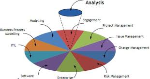 Business Analysis Discussions What Activities A Business Analyst Should Do While Business Analysis Business Analyst Management Development