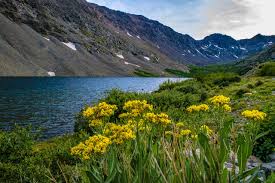 Maybe you would like to learn more about one of these? Best Things To Do In Breckenridge Colorado In Summer