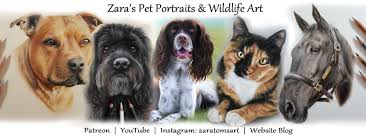 Check spelling or type a new query. Zara S Pet Portraits Wildlife Art Home Facebook