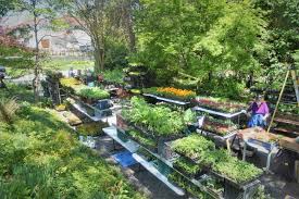 Cape St Claire Garden Club Hosts Successful Virtual Plant Sale In 2020 Garden Club Plant Sale Annual Plants