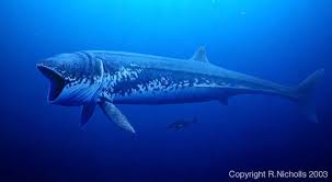 However the leedsichthys can also be interacted with and used as a fish meat farm as it overtime generates fish meat that can be collected on the outside of its body, therefore making it useful to keep them in a water pen if tribes wish to store fish meat. The Palaeo Post Palaeoart Leedsichthys