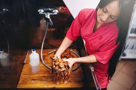 The actual cost of grooming a dog on an average, the price for complete dog grooming servicing is $53. Dog Grooming Prices How Much Does It Cost To Groom A Dog In Salons
