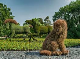 My Virtual Garden Mosaiculture Exhibition Garden Art Garden Animals Horses And Dogs
