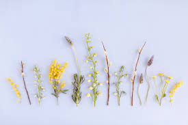 Check spelling or type a new query. Aesthetic Desktop Wallpaper Summer 3787x2525 Wallpaper Teahub Io
