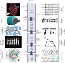 Integrated Multiscale Biomaterials Experiment And Modelling