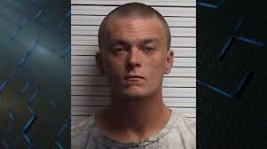 Leland man charged with sex offenses