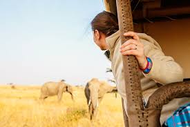 Check spelling or type a new query. Women S Safari Clothing For Africa Overland Travel