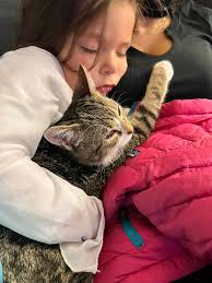 Elsa and I had a great Halloween🎃👸🏼🐈‍⬛ Last pic shows just how all the  fun and excitement wore her out! 😂🧡 How was your weekend and Halloween?