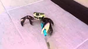A Weapon To Surpass Metal Gear Youtube